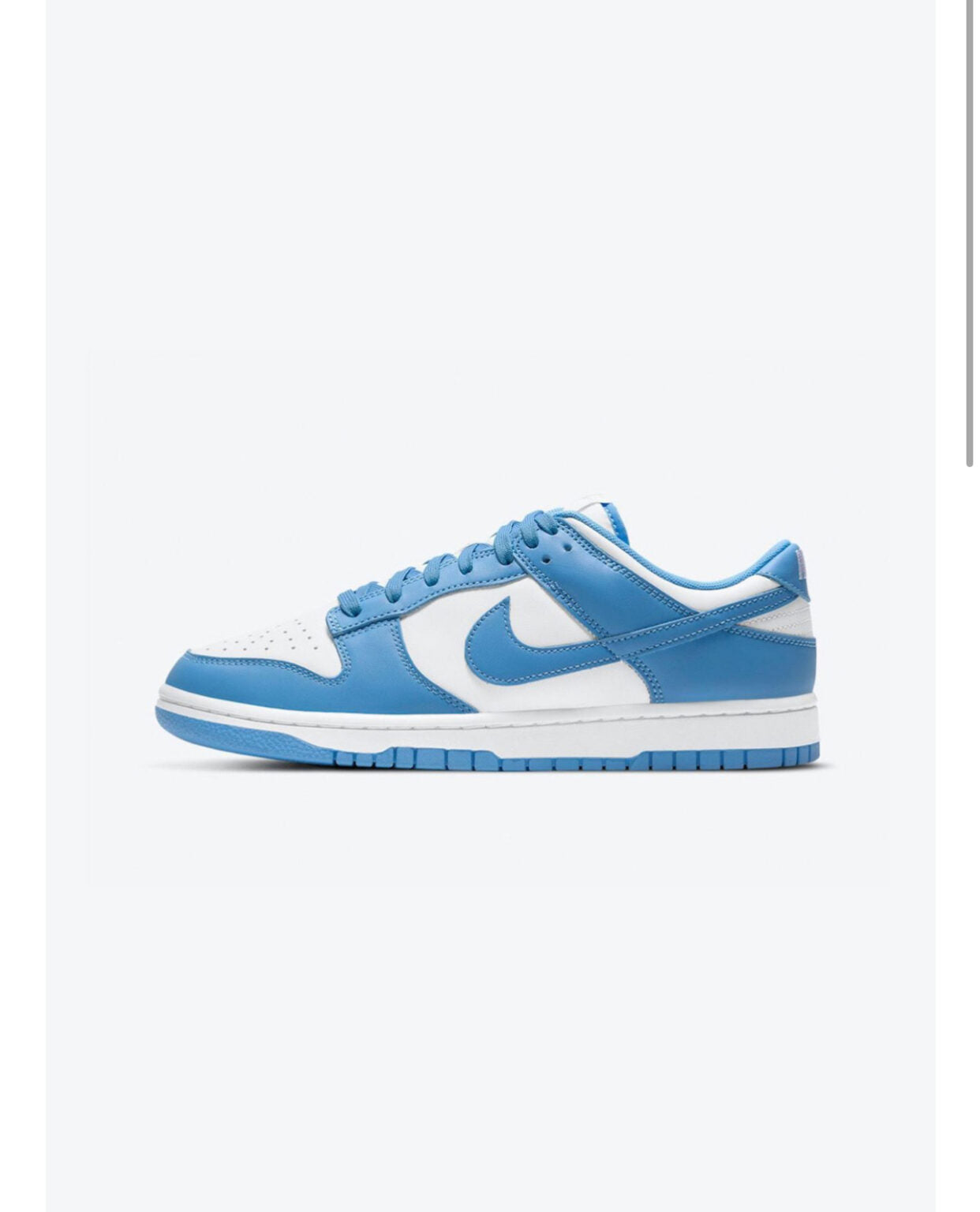 Nike sp dunk blue